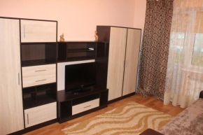 Apartment on Druzhby 4